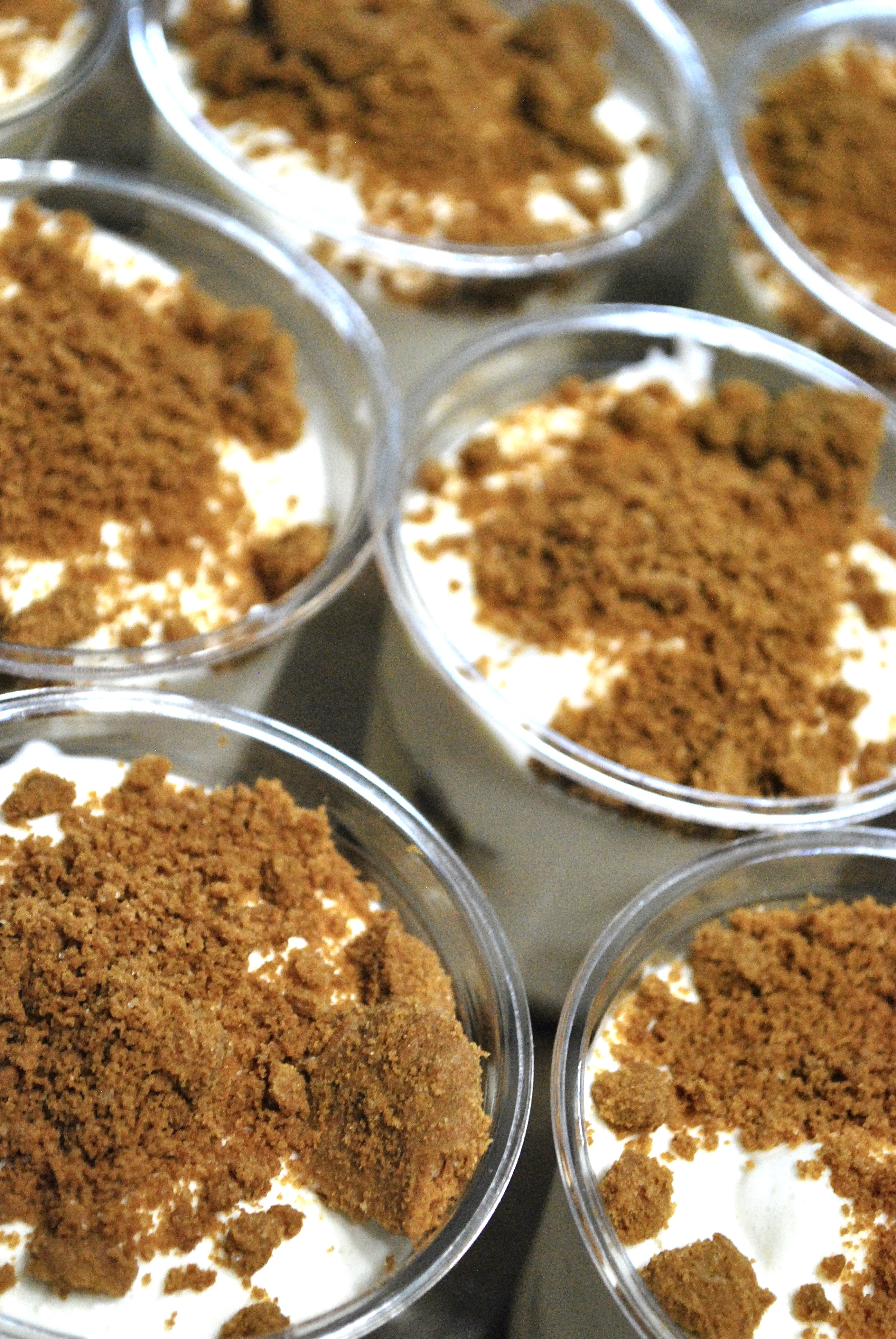 Tiramisu Classico